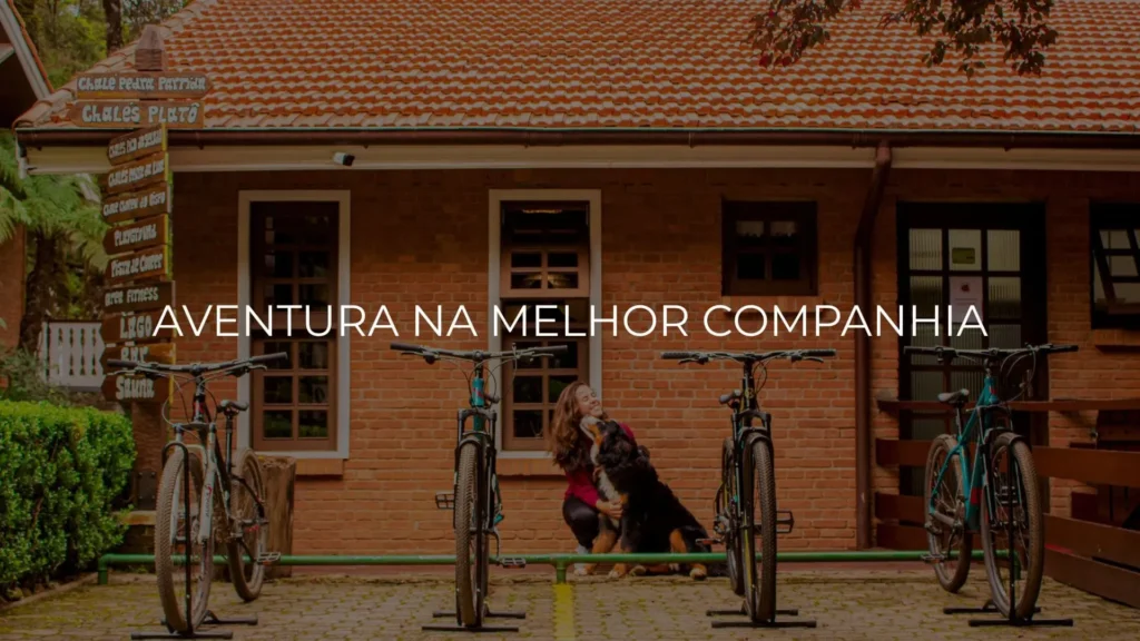 BANNER 02